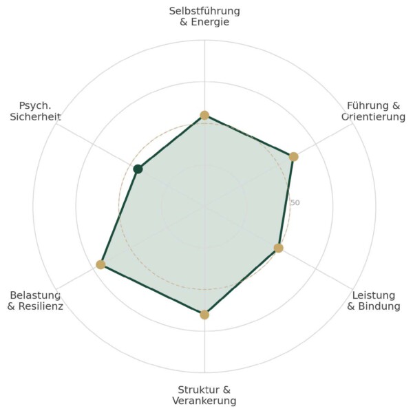 Beispielauswertung des Company Health & Performance Checks als Netzdiagramm über sechs Dimensionen